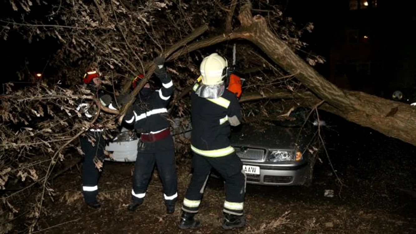 Copaci doborâţi de vântul puternic FOTO Adevărul