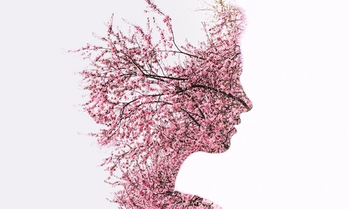 1 78037 original jpg jpeg