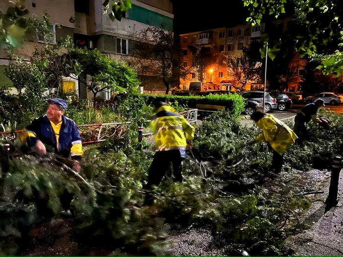 Furtuna a făcut ravagii în Târgu Jiu Foto: Edilitara Public