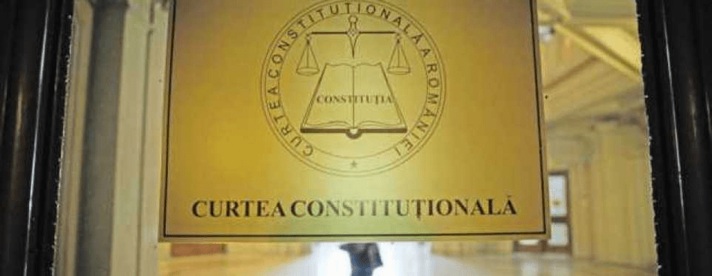 CCR discută sesizarea privind legea referitoare la programul de gestionare a câinilor fără stăpân