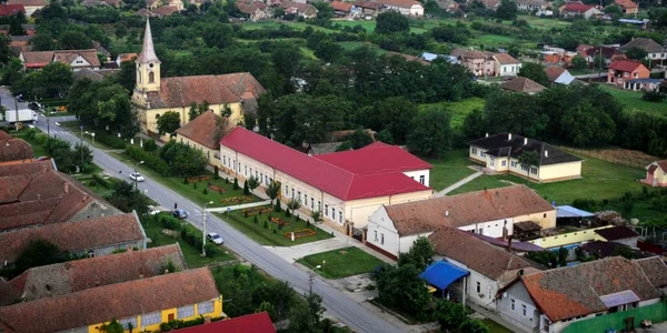 Dudeştii noi