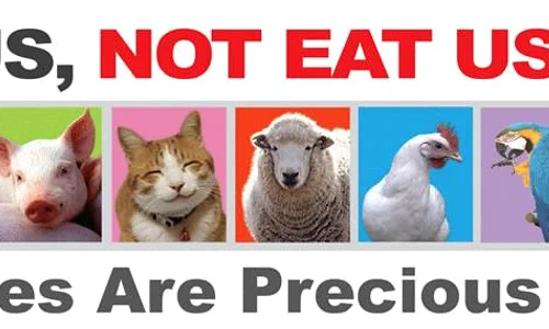 970363 631332096901416 2065790827 n jpeg