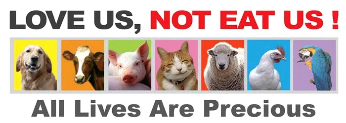 970363 631332096901416 2065790827 n jpeg