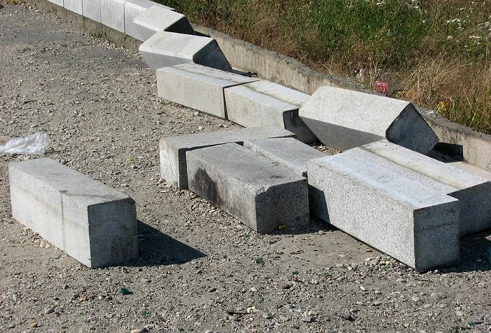 Hotii au pus ochii pe bordurile din Parcul Municipal