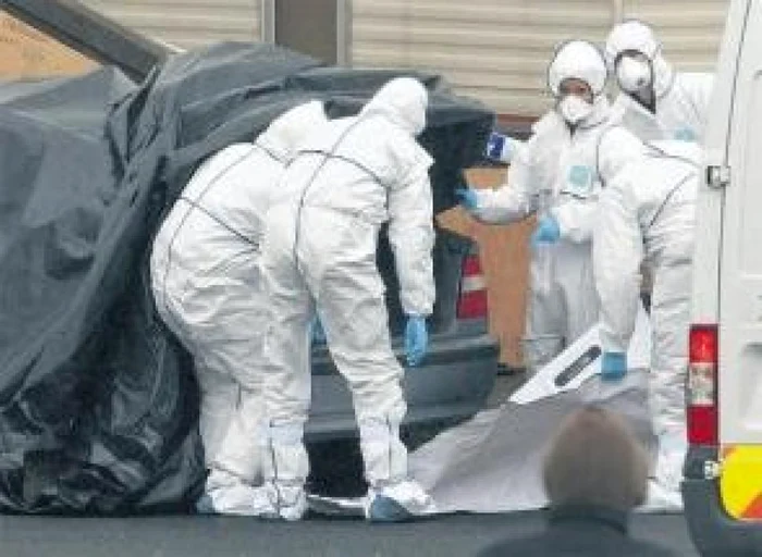 
    Poliția a fost sesizată de muncitorii unei firme de construcții care au simțit mirosul cadavrului  