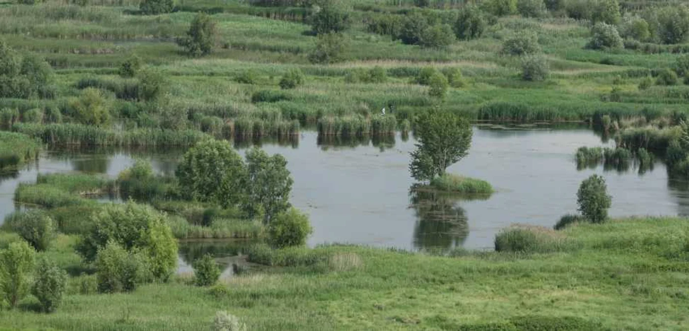Grupul de Iniţiativă pentru Înfiinţarea Parcului Natural Văcăreşti cere grăbirea procesului prin care Delta Bucureştiului urmează să devină arie protejată FOTO Marian Iliescu
