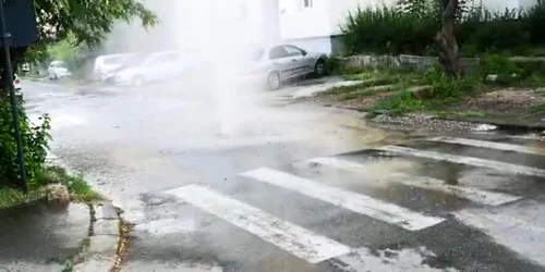 5b4cd2bfdf52022f754b3377 jpg