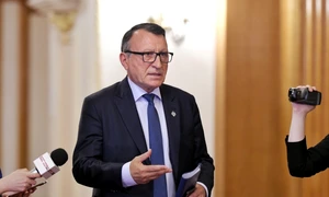 Paul Stănescu FOTO Mediafax 