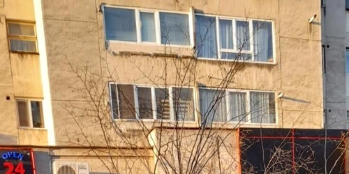 Copac prabusit pitesti