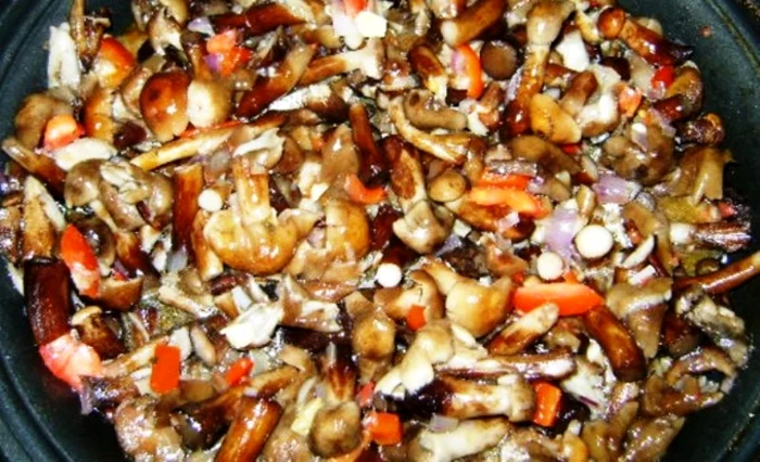 
    Tocaniţă de ghebe  