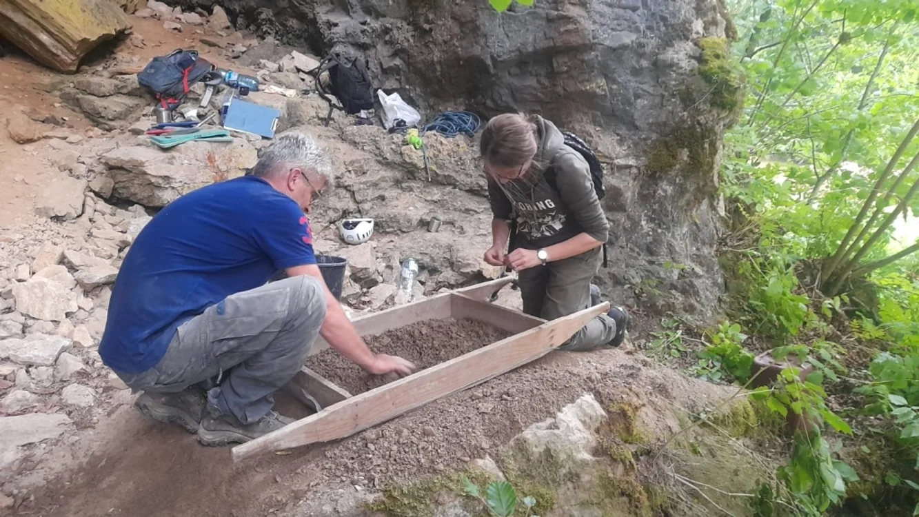 Săpături efectuate de arheologi în peștera „Șura Dracului” (foto: D. Pop, D. Conțiu, T. Minghiraș / Muzeul Județean de Istorie și Arheologie Maramureș)