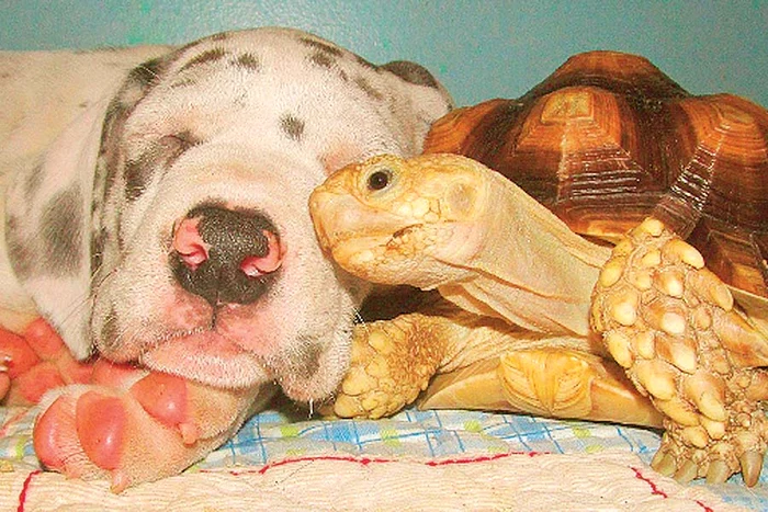 Fotografii: Photoland/Wenn