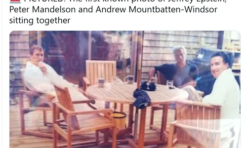 Epstein, Andrew si Mendelson captura x png