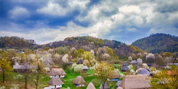 muzeul satului baia mare foto fb jpg