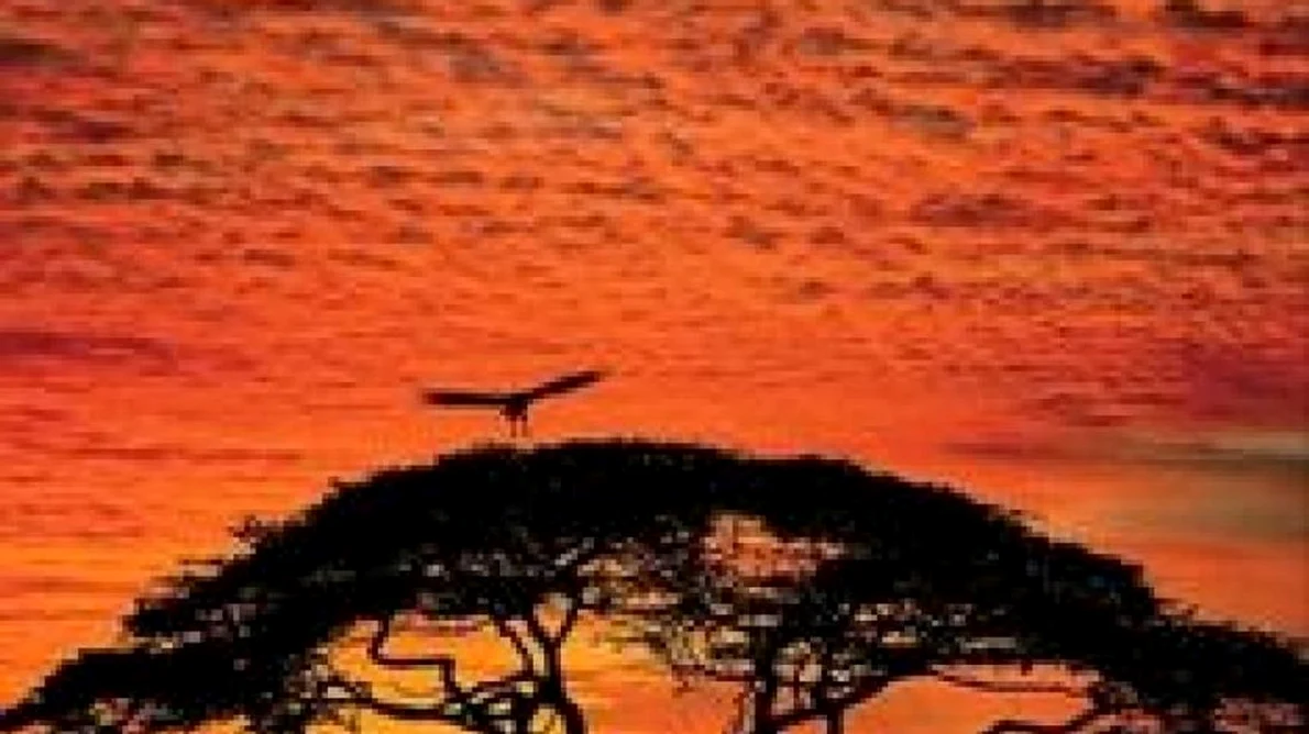 Republica Zambia o bijuterie a Africii de sud jpeg