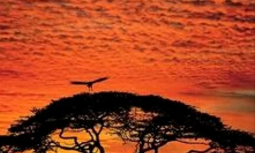 Republica Zambia   o bijuterie a Africii de sud jpeg