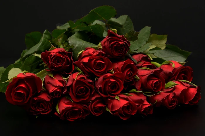 Buchet de trandafiri roșii / foto: Pixabay 