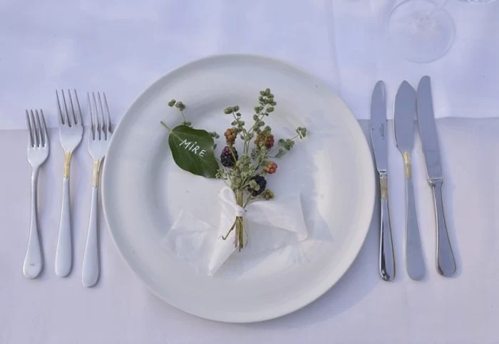 Mirele a avut un bucheţel de plante la care au fost adăugate mure 