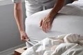 camerista, foto shutterstock jpg