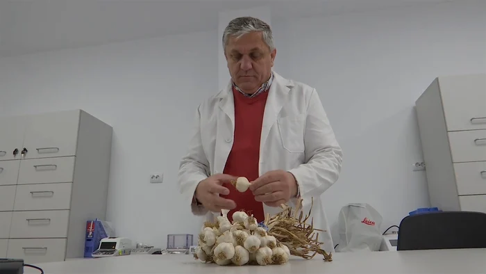 Benone este primul soi românesc omologat. FOTO Iulian Bunilă