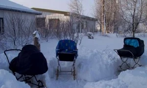 Şi în Islanda mamele îşi lasă copiii să doarmă în aer liber, iarna (foto: treehunger com) jpeg