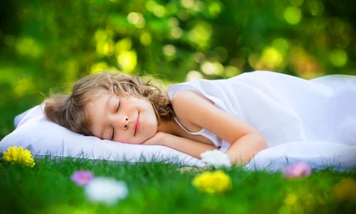 dormire con piante sleep with plants 595x400 jpeg