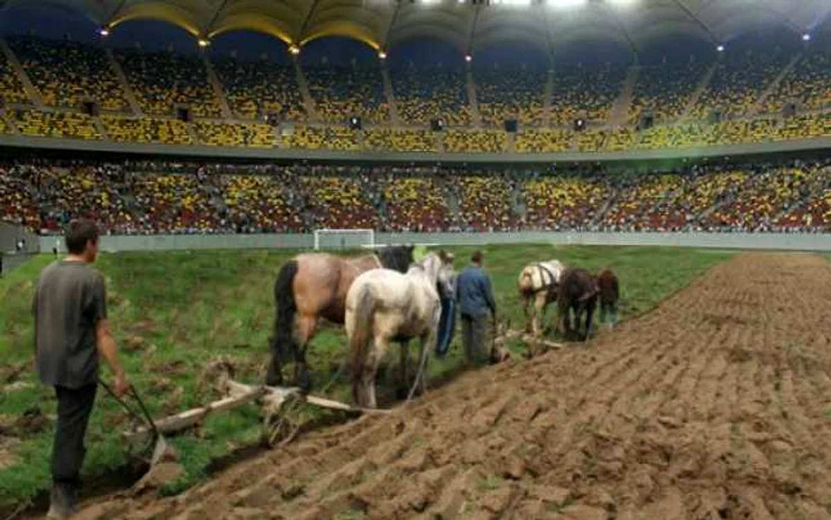 Cum s-a „reparat“ gazonul. FOTO: timesnewroman.ro