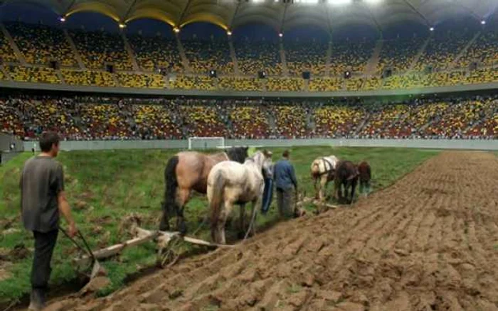 Cum s-a „reparat“ gazonul. FOTO: timesnewroman.ro