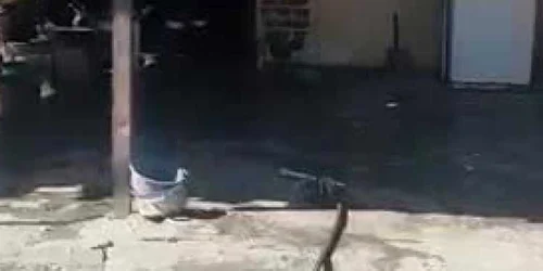 5e6be7c45163ec4271eafc23 jpg