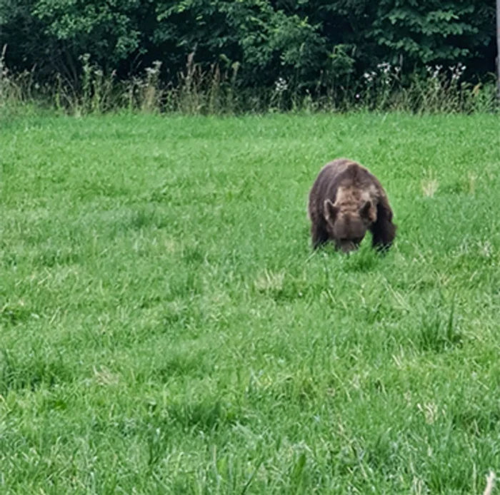 
    Tanczos Barna, ministrul Mediului  
