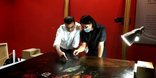 O pictura de Paolo Porpora a fost distrusa de un baiat impiedicat FOTO TST Art of Discovery Co