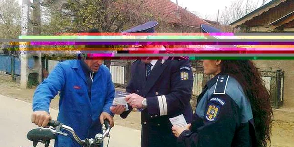 poliţia alegeri