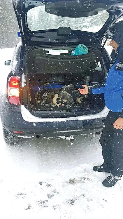 
    În vestul ţării se circulă cu dificultate  