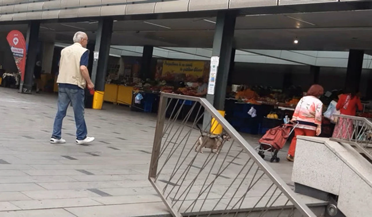 
    În timp ce soția intră  în piață după fructe și  legume, Văcăroiu se luptă  cu micul „dulău”  