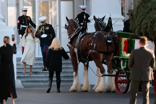 Melania Trump și bradul de Crăciun de la Casa Albă. FOTO: Getty Images