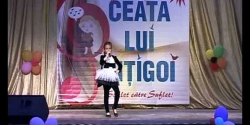 festival de muzica