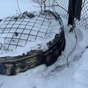 resturi racheta oresnik jpg