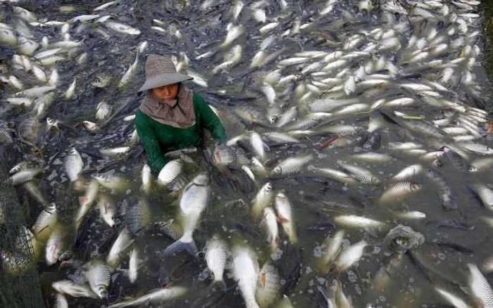 pescuit in thailanda Reuters