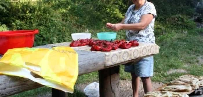 Braşov: Zonele verzi - un imens grătar pentru coptul vinetelor şi gogoşarilor FOTOGALERIE