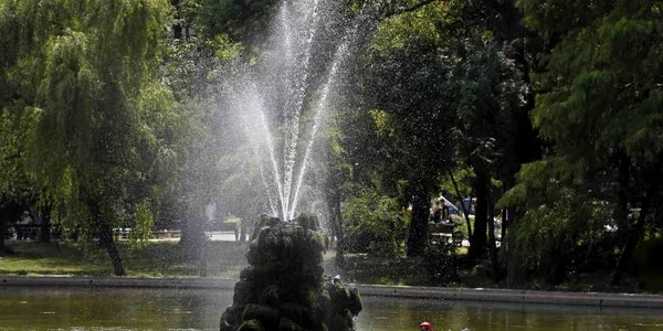 cismigiu foto reuters