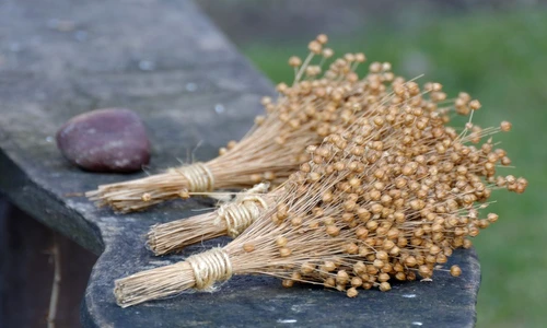 1 79496 original jpg jpeg