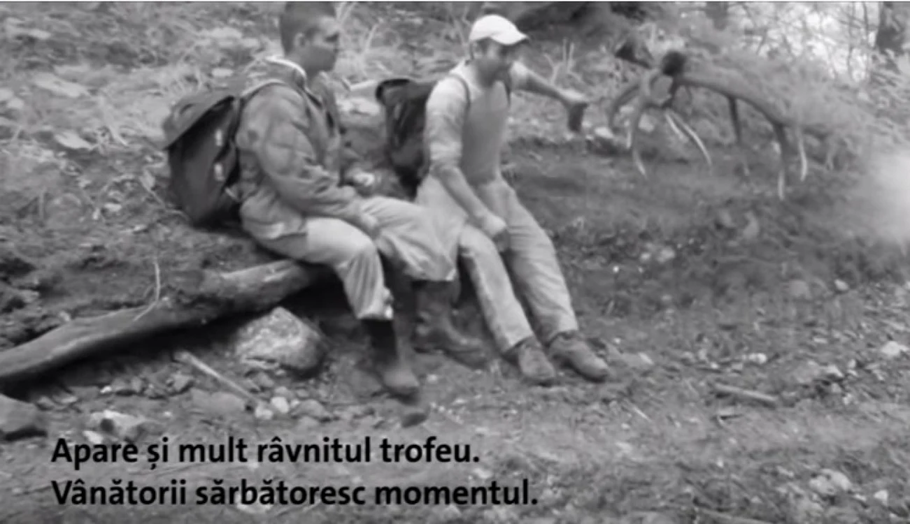 Imaginile surprinse de camerele instalate în pădure de WWF FOTO captură Youtube