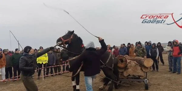 bataie cai visina