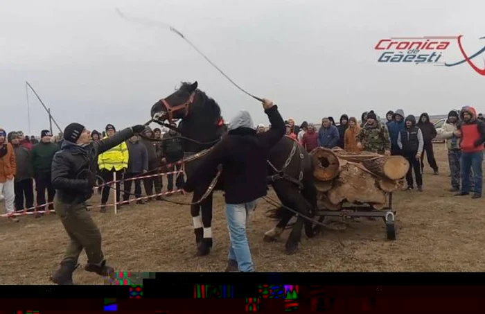 FOTO: cronica-gaestiului.ro / Liviu Lazăr