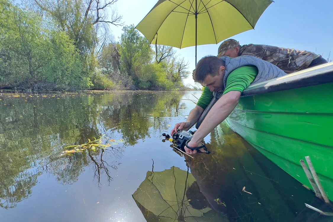 Filmările subacvatice au fost realizate cu o dronă specială și lentilă macro.