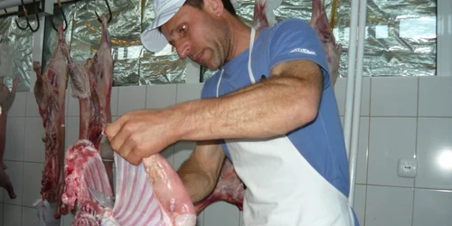 miel tulcea