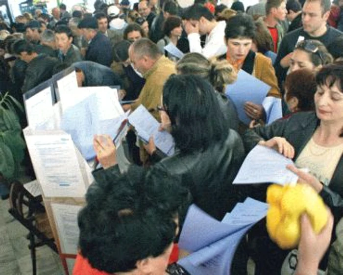Botoşani: Locuri de muncă vacante pentru absolvenţi