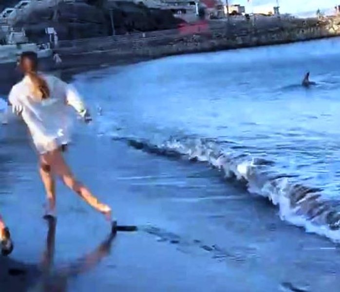 Moment terifiant în Las palmas. Rechin filmat în timp ce atacă turiștii pe plaja Gran Canaria VIDEO