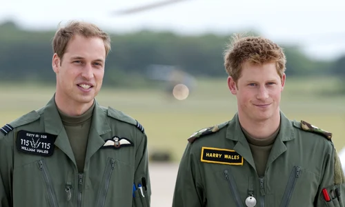 Printul William si Printul Harry in uniforma   profimedia 0230587986 jpg