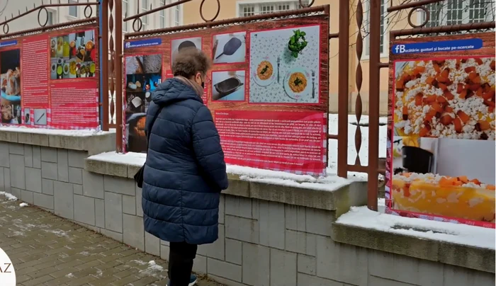 expozitie pe gardul muzeului foto captura mjia zalau